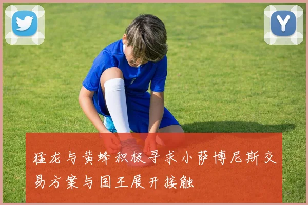 猛龙与黄蜂积极寻求小萨博尼斯交易方案与国王展开接触